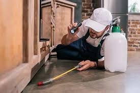 It specializes in pest control solutions for. Z9co6bwphhrgam
