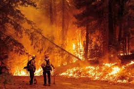 When the department responds to a major cal fire jurisdiction incident, the department will post incident details to the web site. Fires Continue To Rage In Oregon Northern California Wsj