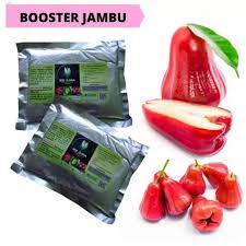 Jarak tanam jambu kristal yang di lakasanakan di po. Harga Spesifikasi Pupuk Booster Jambu Air Boster Jambu Kristal Pupuk Organik Padat Untuk Jambu Biji Anti Busuk Dan Perbandingan Toko Harga Indonesia