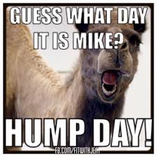 Geico hump day camel commercial happier than a camel on wednesday. Pin On Favorite Places Spaces