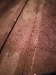 You Can Clearly See The Buckled Floorboards And Damp Patches Floorboards Hardwood Floors Hardwood