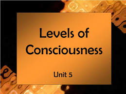 Image result for Level of Consciousness