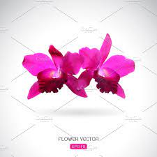 Vector Image Of Orchid Flower Orchid Flower Abstract Flower Art Orchids