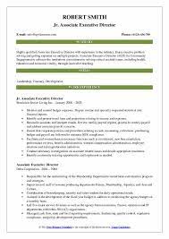 The associate executive director will advise and inform the executive director on matters regarding program service delivery. Associate Executive Director Resume Samples Qwikresume