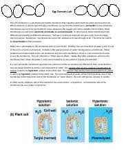 Cells, diffusion, osmosis, and biological membranes a. Egg Osmosis Lab Report Breanna Stalls Miss Johnson Ib Juniors 30 November 2016 Egg Osmosis Lab Introduction During This Lab The Permeability Of Cell Course Hero