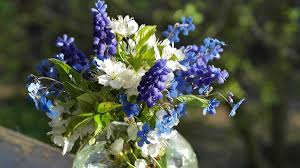 Jun 12, 2021 · cut flowers early in the morning, using a sharp knife or shears. How To Make Bouquets Of Cut Flowers Last Longer Dengarden