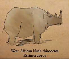 (insufficient data have been collected on the flatback. 18 Animals That Became Extinct In The Last Century Greenpeace Uk
