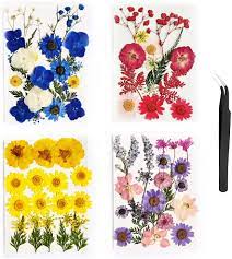 Maybe you would like to learn more about one of these? Buy Dried Pressed Flowers Real Pressed Flowers Dry Leaves Flower Field Series Dried Flowers For Scrapbooking Diy Art Crafts Epoxy Resin Jewelry Candle Nail Art Online In Canada B0966lnc5y