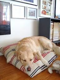 Diy Doggie Bed One Good Thing By Jillee Hundebett Diy Alte Kopfkissen Hundebett