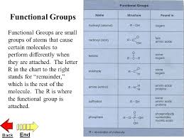 Macromolecules Carbohydrates Lipids Nucleic Acids Proteins