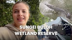 Walking with Monitor Lizard at Sungei Buloh Wetland Reserve, Singapore