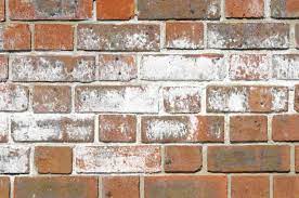 It is usually white but efflorescence can be yellow efflorescence does not in any way influence the structural strength of clay bricks or pavers. What Is Efflorescence Centenary Landscaping Supplies
