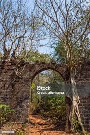 Ruins Of A Dutch Factory Or Fort At ...