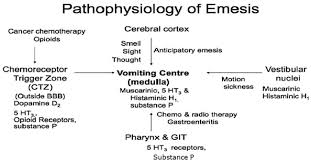 Rational Diagnostic And Therapeutic Approach To The Vomiting