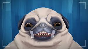 Meet Pickles He S The Star Of Mcad Senior Morgan Hilber S Final Project As A Filmmaking Major Pugs Pug Love Cute Dog Photos