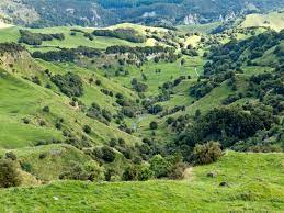 We know you don't just want your home to look beautiful on the inside. Farmland Landscape Scene Hawke S Bay New Zealand Stock Image Image Of Hawkes Outdoor 31496093