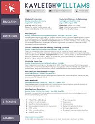 Resume format choose the right resume format for your needs. Resume Format For It Professional 2017