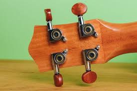 But he requires very highly on his future mate especially in terms of form, though lacking a little, is unexcepted. The Best Ukulele For Beginners Reviews By Wirecutter