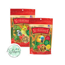 Shop Best Parrot Food: Top Pellets at Birdsprees