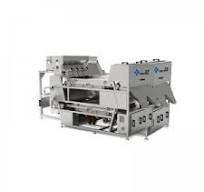 Frozen and Dehydrated Vegetable Color Sorter Manufacturer ...