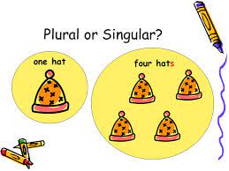 Grammar Plurals Primary 3m Cockenzie Primary School December Ppt Download