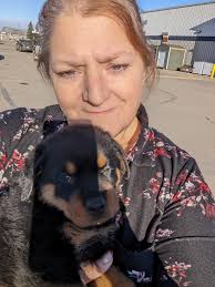 Rottweilers of Saskatchewan