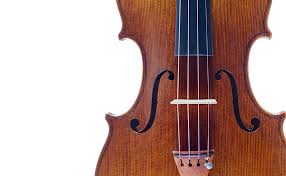 Image result for Viola eminii