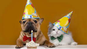 Visit to my other chan. Birthday Video Maker 1000 Templates Songs It S Free