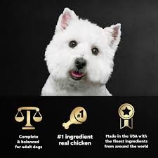 Cesar Fillets in Gravy Rotisserie Chicken Wet Dog Food, 3.5 oz Tray