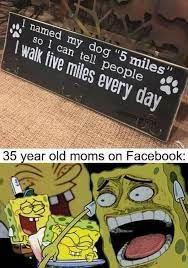 Facebook Moms Meme By Lastgoodmilkpig Memedroid