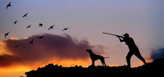 Berlato replica a zanoni sulla caccia in deroga. Sono Scattate Le Pre Aperture Della Caccia Continua Il Gioco Al Massacro