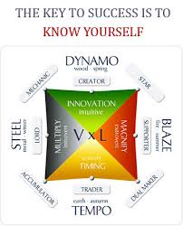 Read This Before Taking The Wealth Dynamics Personality Profile
