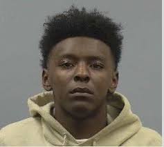 Woman cops plea in 2020 murder case, possible motive identified