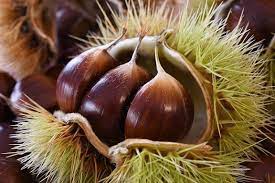 Join the discussion or compare with others! Castagne Proprieta E Benefici Mr Loto