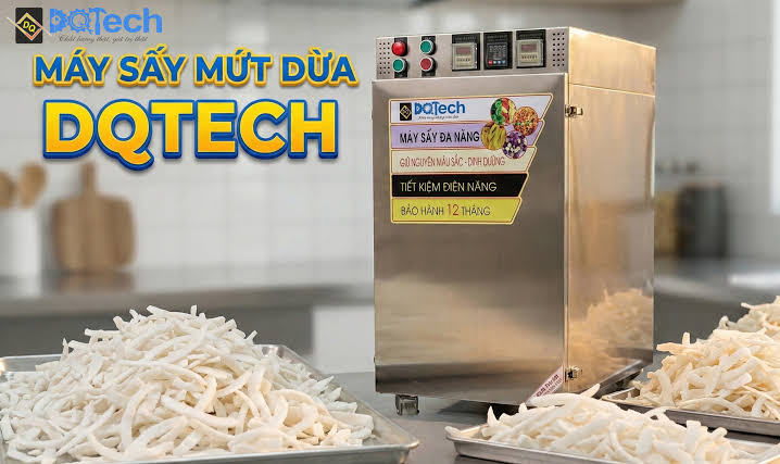 Máy Sấy Mứt Dừa, Tiết Kiệm Thời Gian, Nâng Cao Năng Suất Dịp Tết - Máy Sấy  DQTech