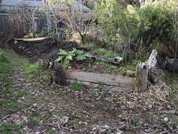Not So Clean Up Garden Tree Trimming Service Wildlife Gardening Garden