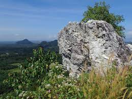 Tak boleh nak sembang panjang…. Bukit Batu Putih Gopeng Hike Pokok Kelapa