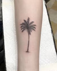 Single Needle Palm Tree By Mike Jupp Single Needle Tattoo Palm Tree Tattoo Tattoos