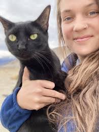 Owners who let pets illegally roam outside have F-M officers herding cats