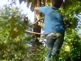 We did not find results for: Menangkap Burung Dgn Cara Jebakan D Kasih Lem Perekat Part 1 By Agus Aja