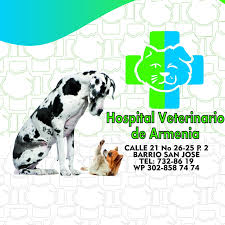 Hospital veterinario en Armenia Quindio