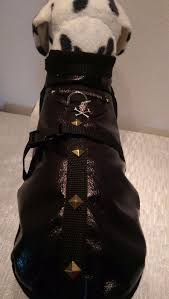 regenmantel hundemantel s kleine hunde schwarz kunstleder nieten wasserfest ebay hunde mantel hundemantel regenmantel