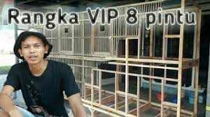 Rangka Kandang Ayam Bangkok 8 Pintu Untuk Ayam Jago Youtube
