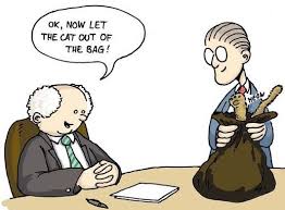 Cat Out Of The Bag Idiom Idioms Social Skills Language Activities