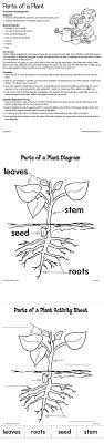 Parts Of A Plant From Lakeshore Learning Kids Identify The Parts Of A Plant And Learn How Plants Grow Plant Lessons Plants Lesson Plans Science Lessons