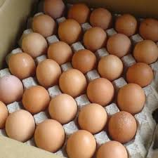 Telur ayam adalah bahan makanan yang biasa dikonsumsi oleh masyarakat indonesia. Telur Ayam Mentah Kemasan Kg Kg 1 Kg Shopee Indonesia