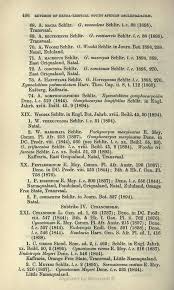 Image result for Pentarrhinum insipidum