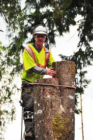 We provide you with all of your individual tree service needs. Mjr Tree Service Isa Arborists Dangerous Tree Removal