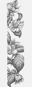 Flowers And Decorative Borders Png Images Pngegg Flower graphy, flowers border, pink and green flowers border, watercolor painting, flower arranging, design png. flowers and decorative borders png