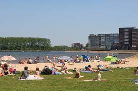 Fc groningen 1, pec zwolle 0. Zwemplassen Gemeente Zwolle